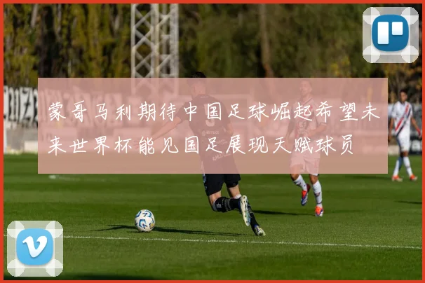 蒙哥马利期待中国足球崛起希望未来世界杯能见国足展现天赋球员