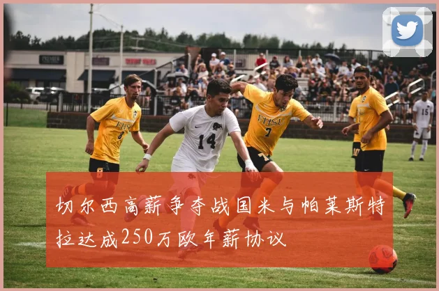 切尔西高薪争夺战国米与帕莱斯特拉达成250万欧年薪协议